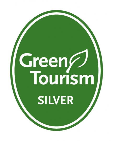 Head Office Wins Silver!