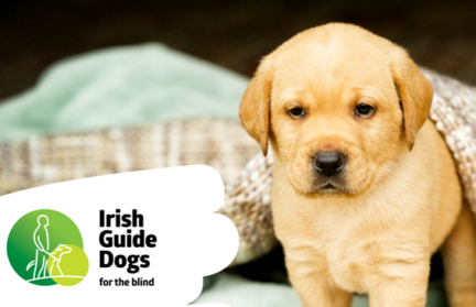 Irish Guide Dogs for the Blind & Head Office Team